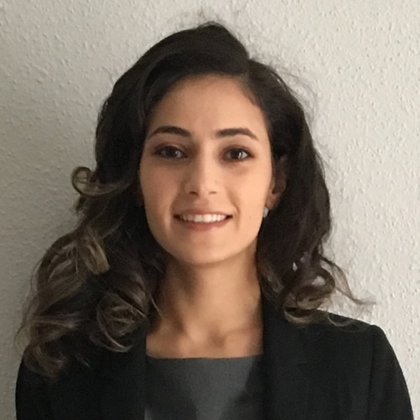 Dina Ibrahim - verified lawyer in Houston TX